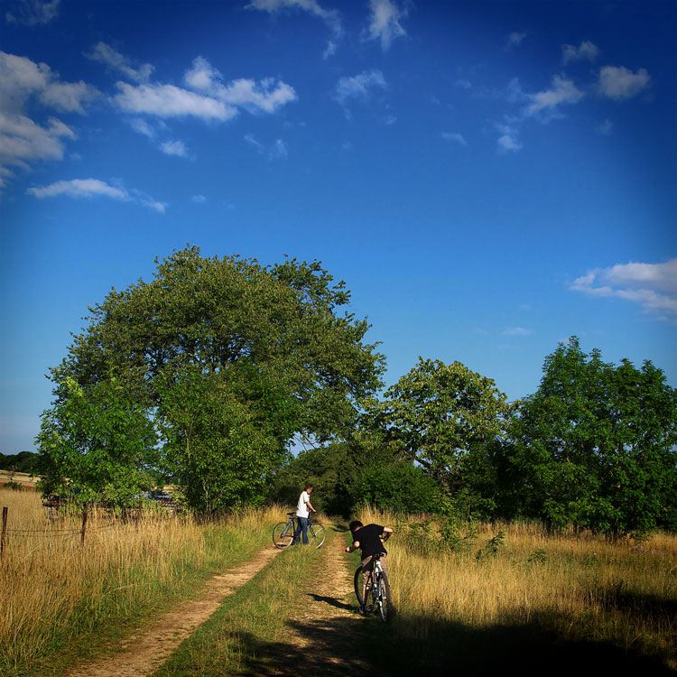 children-bicycle.jpg