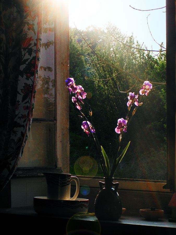 iris-window.jpg