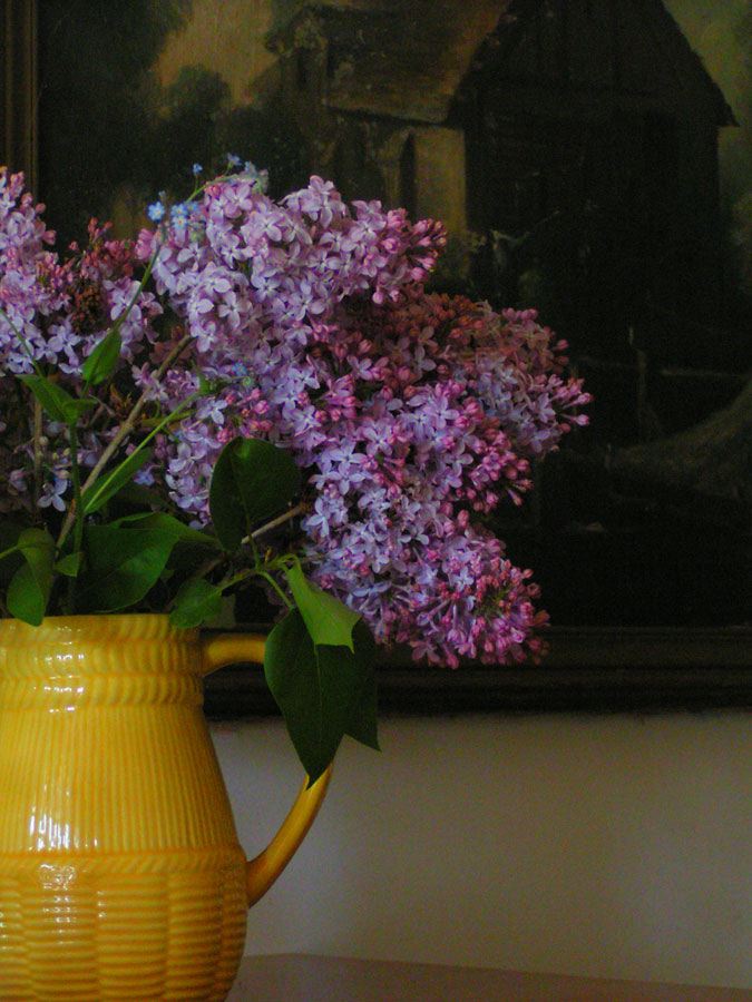 lilac-picture.jpg