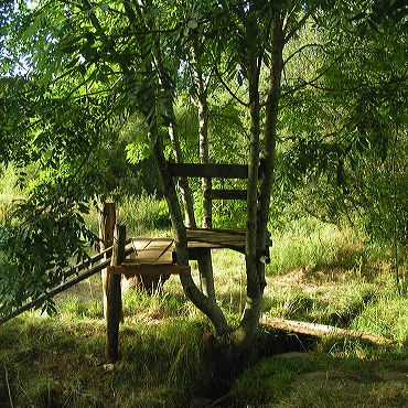 under construction treehouse